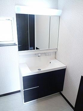 Wash basin, toilet. Bathroom vanity