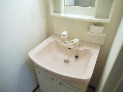 Washroom. It comes with a happy shampoo dresser. 