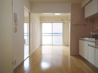 Living and room. Spacious bright living space