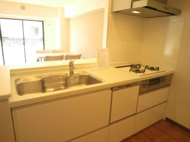 Kitchen. Indoor (10 May 2013) Shooting