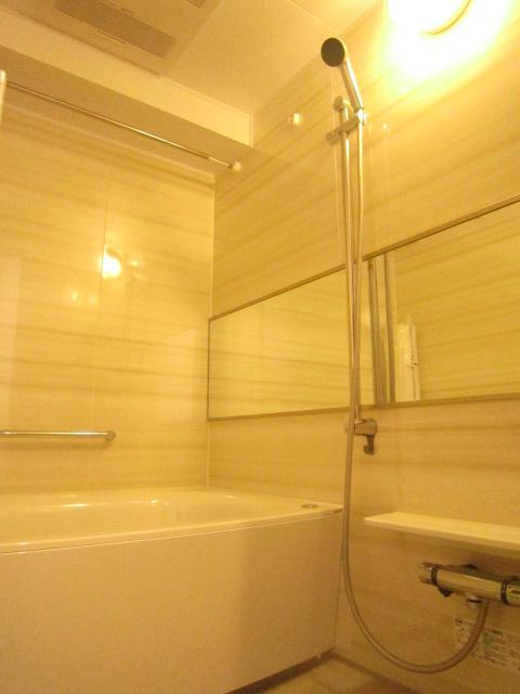 Bathroom. Indoor (10 May 2013) Shooting