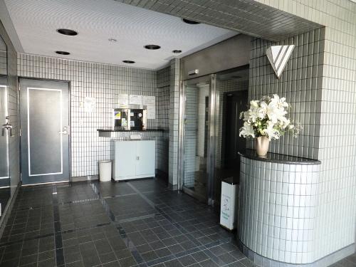 Entrance. Common areas