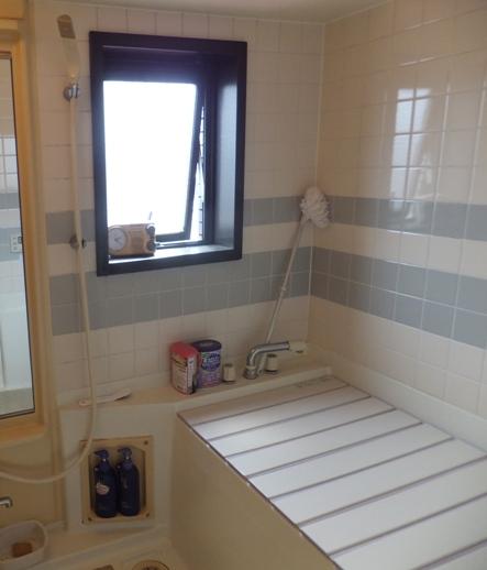 Bathroom. Indoor (June 2013) Shooting