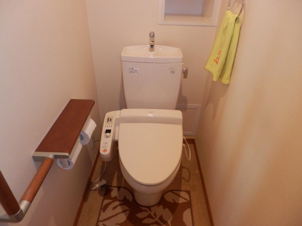 Toilet. Indoor (12 May 2013) Shooting. Toilet equipped with a handrail.