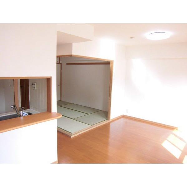 Living. Indoor (11 May 2013) Shooting