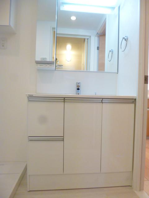 Wash basin, toilet. Bathroom vanity