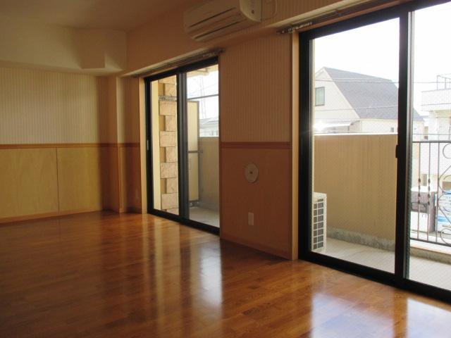 Living and room. Living room 2 (same type)