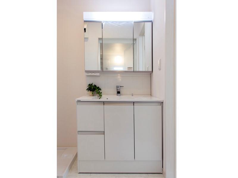 Wash basin, toilet. Building 2 vanity