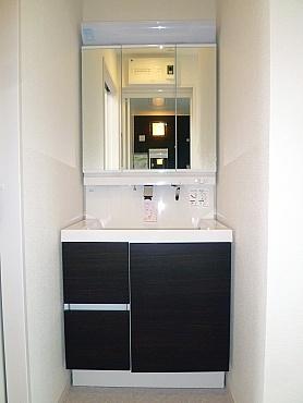 Wash basin, toilet. Bathroom vanity