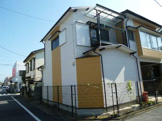 Local land photo. Appearance (1)