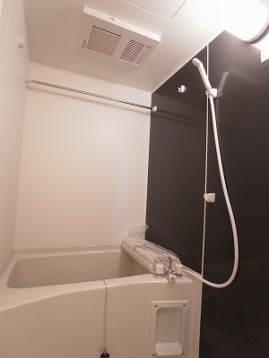 Bath. With bathroom dryer