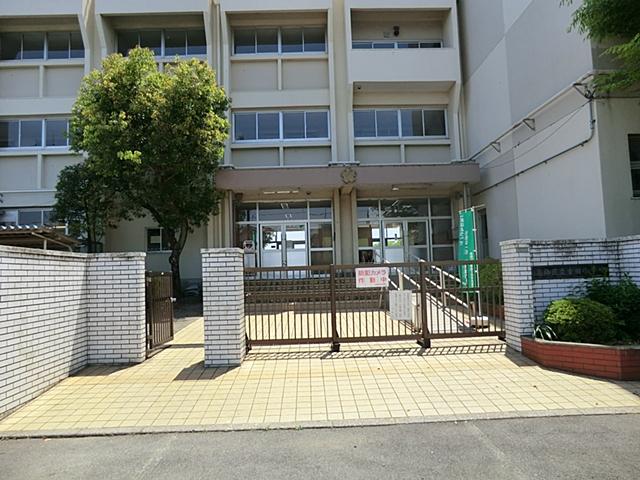 Primary school. Koda to elementary school 240m