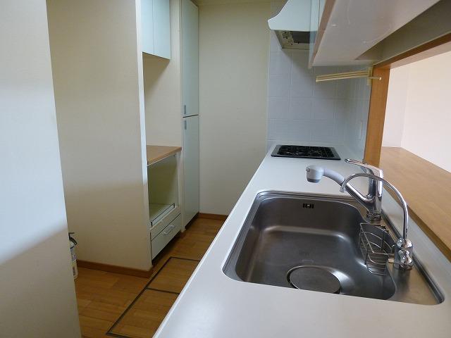 Kitchen. Indoor (10 May 2013) Shooting