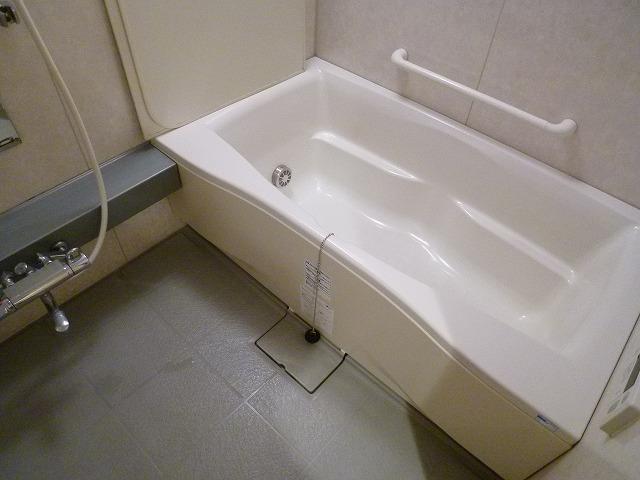 Bathroom. Indoor (10 May 2013) Shooting