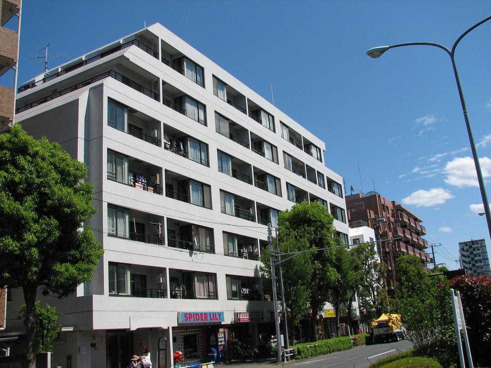 Local appearance photo. Paste appearance tile