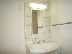 Washroom. With Vanity shower