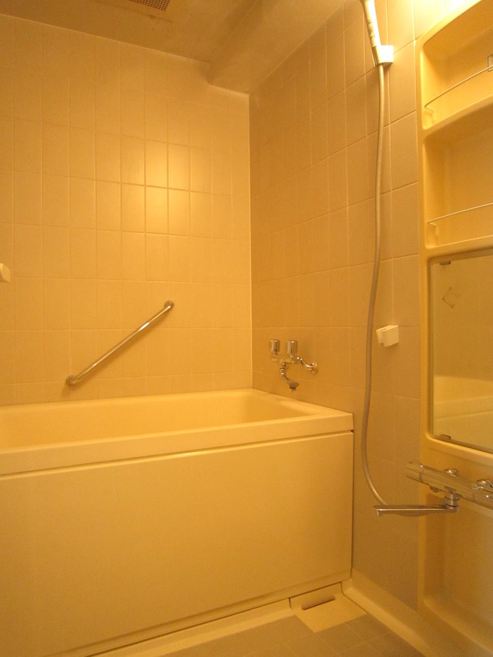 Bathroom. Indoor (10 May 2013) Shooting