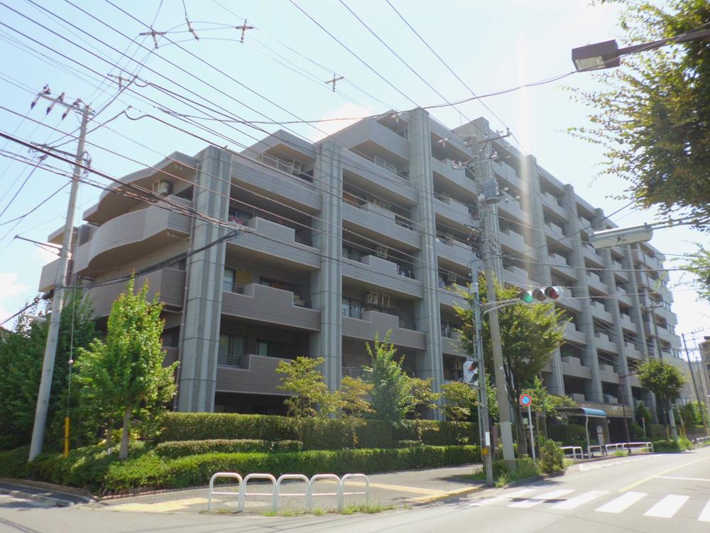 Local appearance photo. Local (August 2013) Shooting