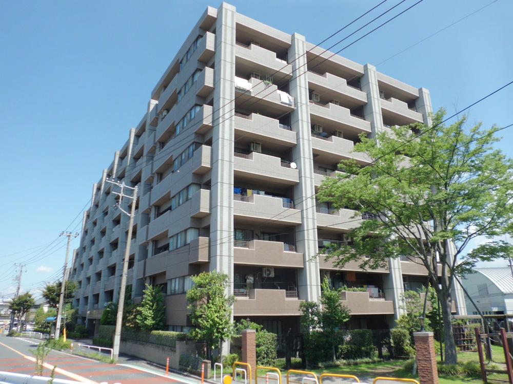 Local appearance photo. Local (August 2013) Shooting