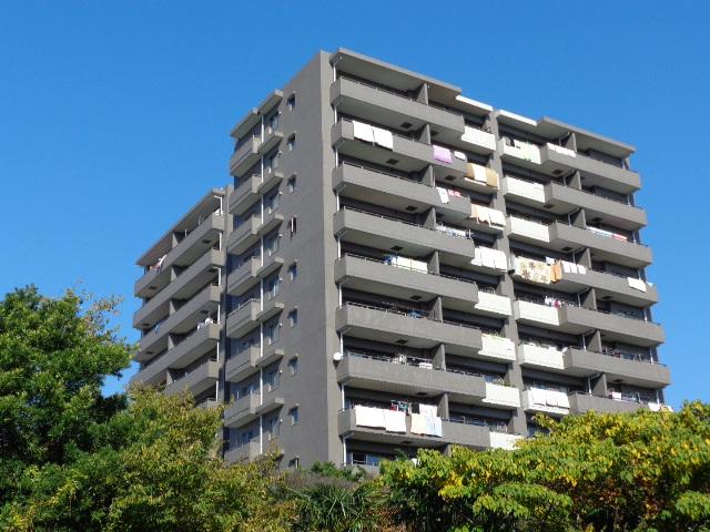 Local appearance photo. Local (11 May 2013) Shooting