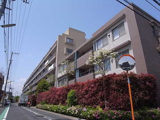 Local appearance photo