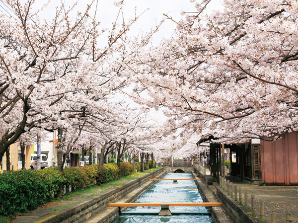 Surrounding environment. Towing river water park (930m ・ A 12-minute walk)