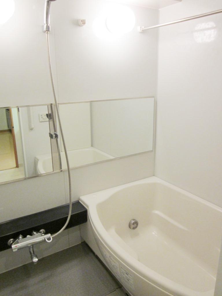 Bathroom. Also spacious bathroom.