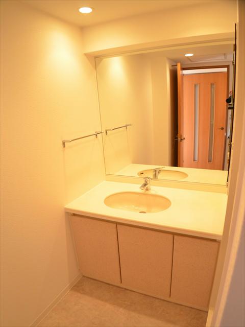 Wash basin, toilet. Fun dressing in a large mirror