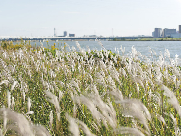 Surrounding environment. Arakawa waterfront park (about 1100m / A 14-minute walk)