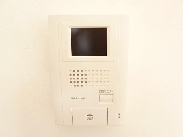 Other. Because there is a TV monitor with intercom, Safely in women!