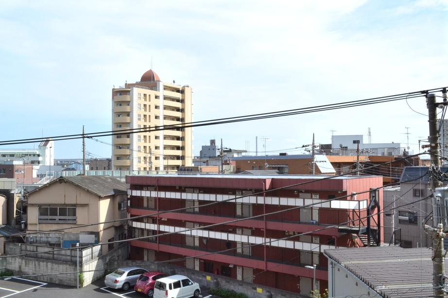 View photos from the dwelling unit. South landscape