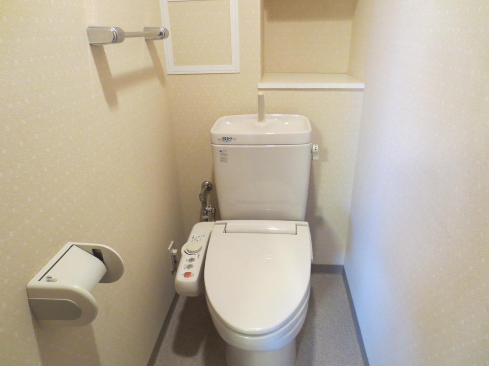 Toilet. Indoor (January 2014) Shooting