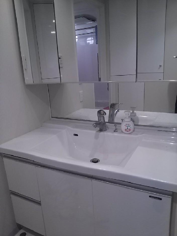 Wash basin, toilet. Indoor (September 2013) Shooting