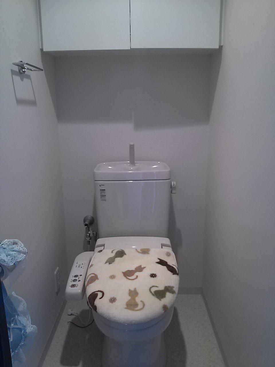 Toilet. Indoor (September 2013) Shooting