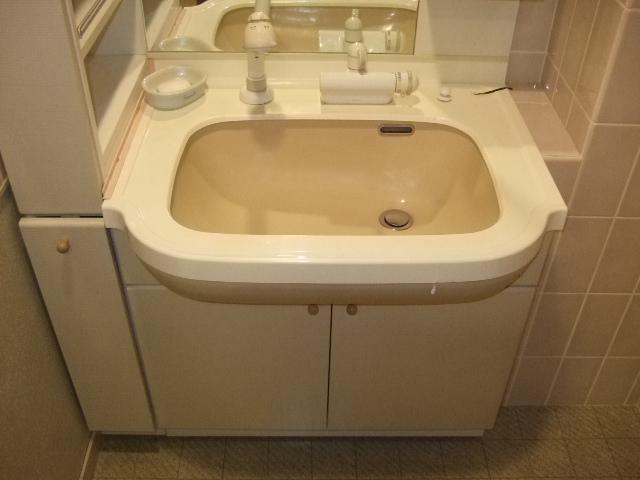 Washroom. Shampoo dresser