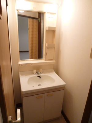 Washroom. Independence is a wash basin