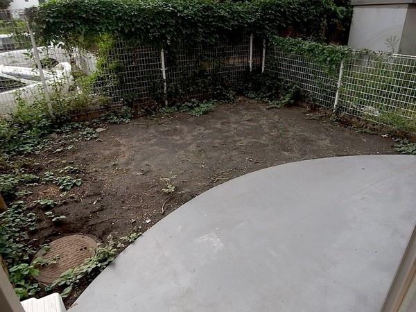 Garden. Private garden