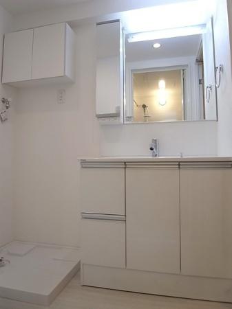 Wash basin, toilet. Dressing room