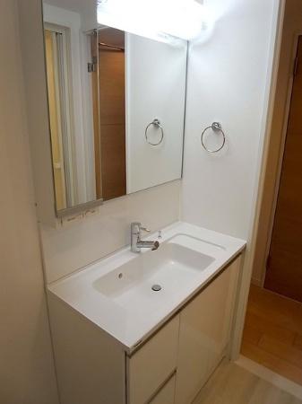 Wash basin, toilet. Bathroom vanity