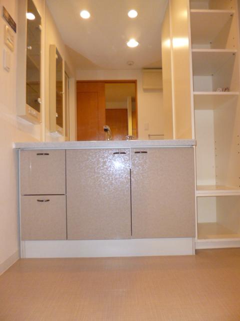 Wash basin, toilet. Large wash room with storage