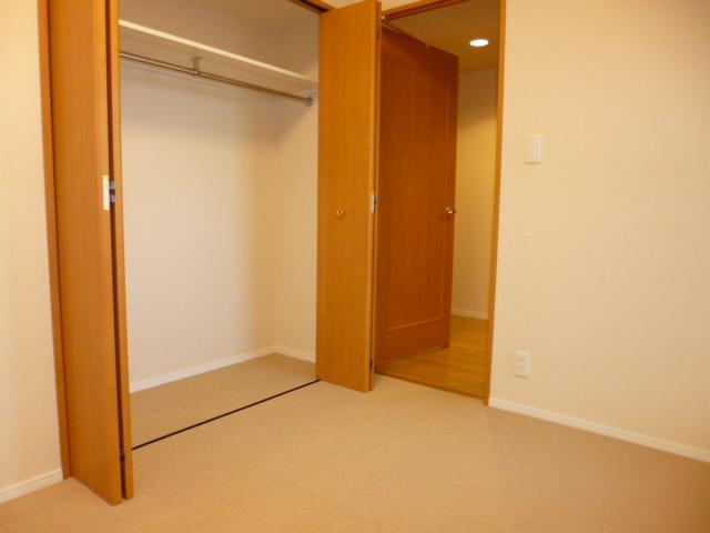 Non-living room. Storage rich Western-style