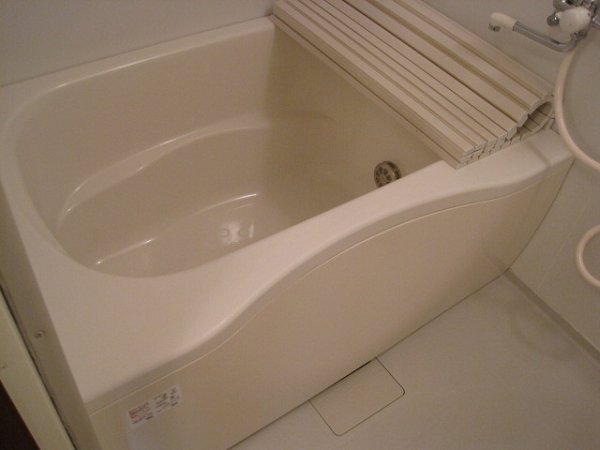 Bath. Image is an image, Reversal is the same type other room image