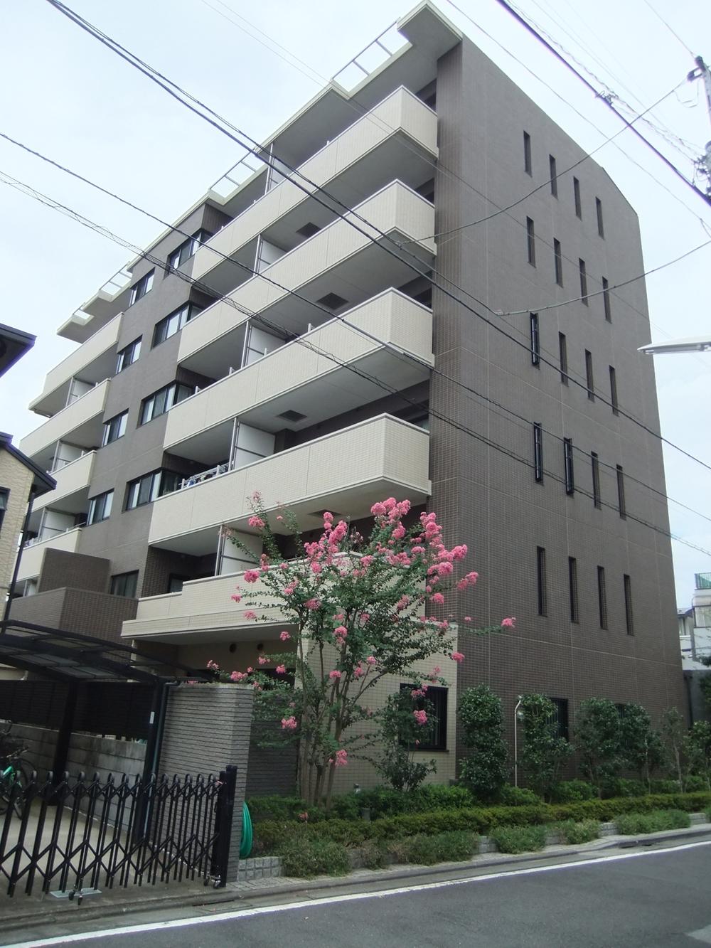 Local appearance photo. Local (September 2013) Shooting