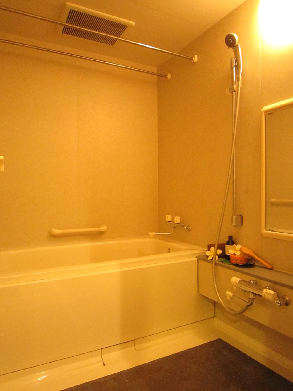 Bathroom. Indoor (10 May 2013) Shooting