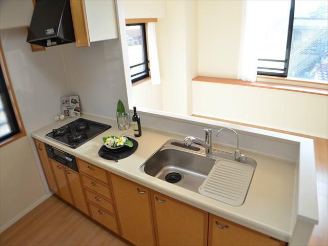 Kitchen. Dialogue also bouncy face-to-face kitchen