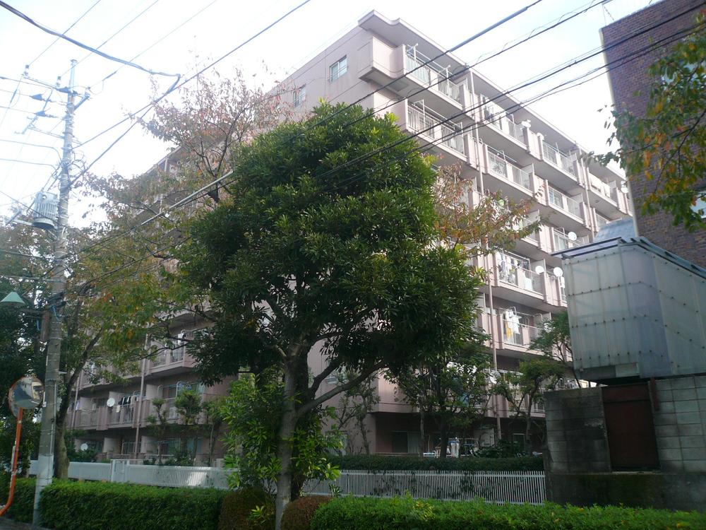 Katsushika-ku, Tokyo Tateishi 8