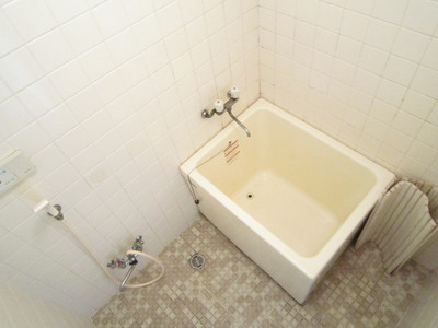 Bath. Bathroom with cleanliness