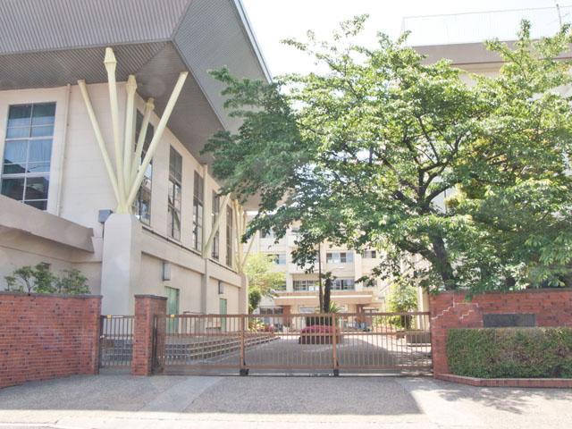 Junior high school. 1247m to Katsushika Tatsukuzubi junior high school