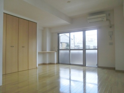 Living and room. Pets could live it in the spacious living room.