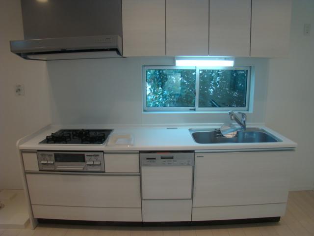 Kitchen. Indoor (12 May 2013) Shooting